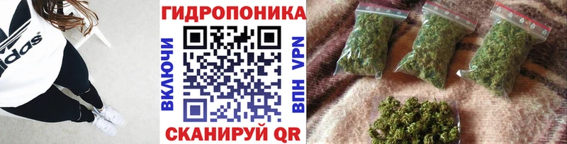 Бошки Шишки план где купить наркоту гидра ONION Богданович
